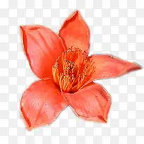 橙色木棉花主视图-空若网 橙色木棉花主视图-空若网