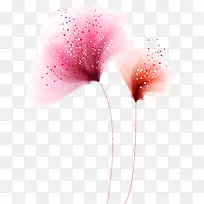 �������ز�-������