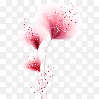 �������ز�-������