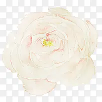 手绘花朵-空若网 手绘花朵-空若网