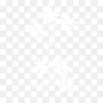 白色花朵-空若网 白色花朵-空若网