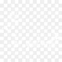 白色藤蔓-空若网 白色藤蔓-空若网