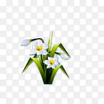 ��ɫ����-������