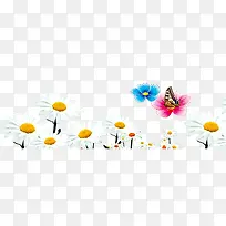 С��ɫ����-������