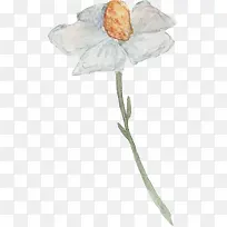 ��ɫˮ�ʻ���-������