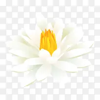 ��ɫ���ز�-������