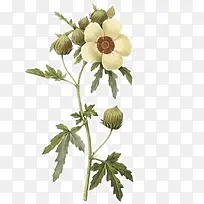 ��ɫ�Ĳݻ�����-������