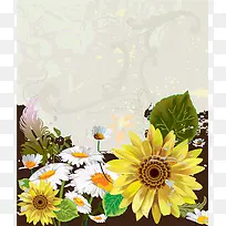 白色小花-空若网 白色小花-空若网