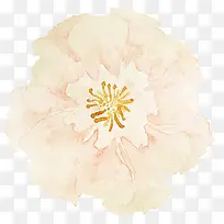 手绘花朵-空若网 手绘花朵-空若网