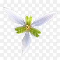 ��ɫ��С��-������