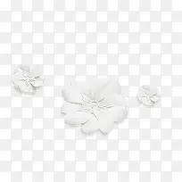 白色花朵图案-空若网 白色花朵图案-空若网