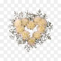 白色鲜花-空若网 白色鲜花-空若网