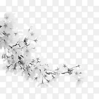 飘浮花朵-空若网 飘浮花朵-空若网