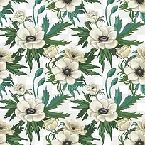 白色花朵背景-空若网 白色花朵背景-空若网