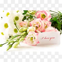 ������ɫ��ɫ����-������