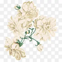 绿叶白色花朵手绘-空若网 绿叶白色花朵手绘-空若网