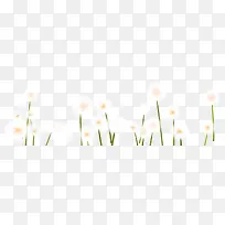 白色唯美梦幻花朵-空若网 白色唯美梦幻花朵-空若网