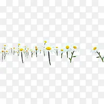 白色唯美美景花朵-空若网 白色唯美美景花朵-空若网