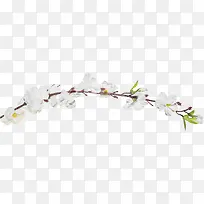 ��֦��ɫ����װ��-������