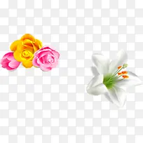 手绘白色花朵效果-空若网 手绘白色花朵效果-空若网