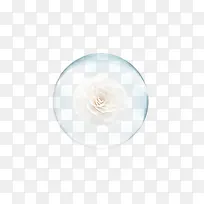 ��ɫ��������-������