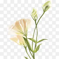 ��ɫΨ���ֻ�ˮ�ʻ���-������