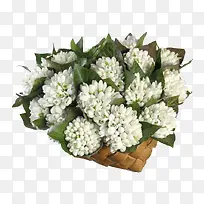 �����ɫװ��-������