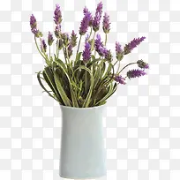 װ޹�²ݵİ�ɫ����-������