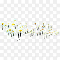 ��ɫΨ����������-������