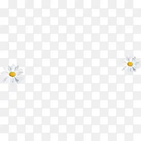 白色清新花朵唯美-空若网 白色清新花朵唯美-空若网