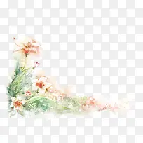 手绘白色淡雅花朵-空若网 手绘白色淡雅花朵-空若网