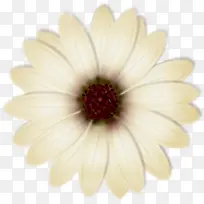 白色手绘梦幻花朵-空若网 白色手绘梦幻花朵-空若网