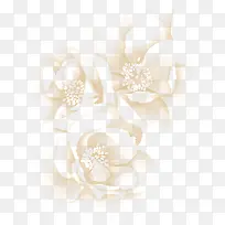 唯美白色花朵清新-空若网 唯美白色花朵清新-空若网