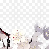 白色花朵枝叶-空若网 白色花朵枝叶-空若网