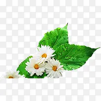 ��ɫ�ֻ���������-������