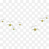 白色创意手绘花朵-空若网 白色创意手绘花朵-空若网