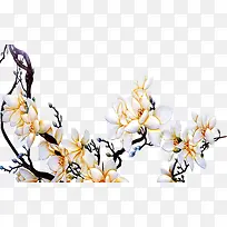 ��ɫ�ֻ滨�主��-������