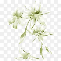 手绘白色清新花朵-空若网 手绘白色清新花朵-空若网