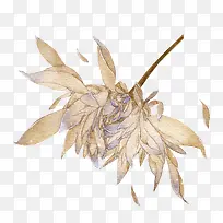 ��ɫ����-������