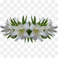 花朵白色花朵装饰-空若网 花朵白色花朵装饰-空若网