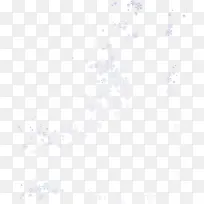 白色花瓣图案-空若网 白色花瓣图案-空若网