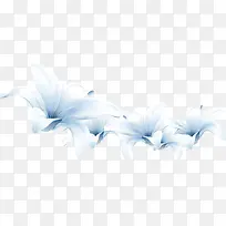 白色花朵花瓣-空若网 白色花朵花瓣-空若网