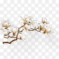 花枝-空若网 花枝-空若网