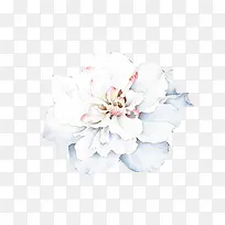 白色可爱花朵设计-空若网 白色可爱花朵设计-空若网