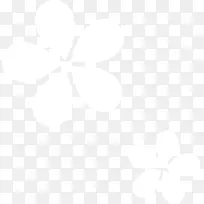 纯白色花朵装饰-空若网 纯白色花朵装饰-空若网