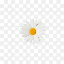 ��ɫ�����زĻ���-������