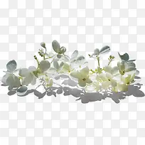 ��ɫ���ӻ�-������