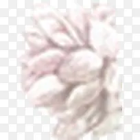 白色时尚简约花朵-空若网 白色时尚简约花朵-空若网