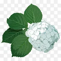 ��ɫʱ�л���ֲ���ֻ�-������