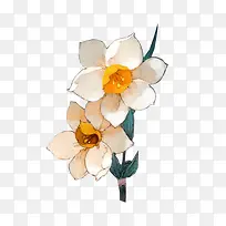 白色手绘唯美花朵-空若网 白色手绘唯美花朵-空若网